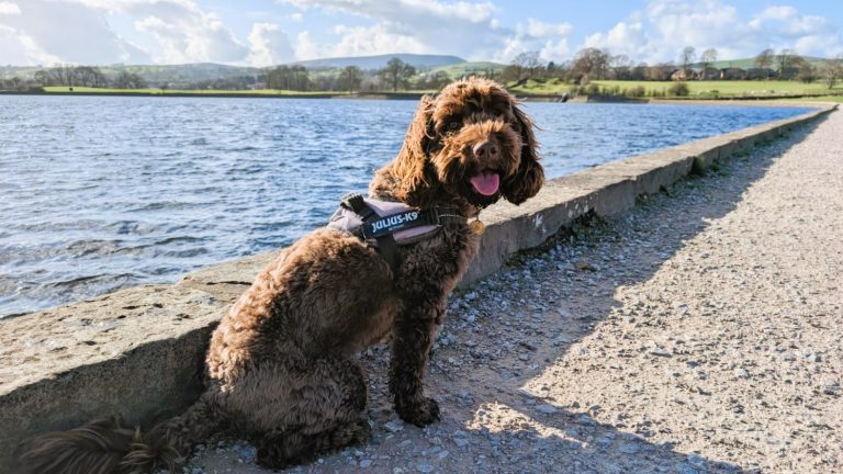 14,03,2026_Mooring and Evening Reflections