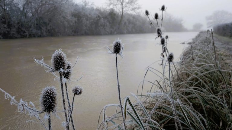 A Frozen Winter Canal