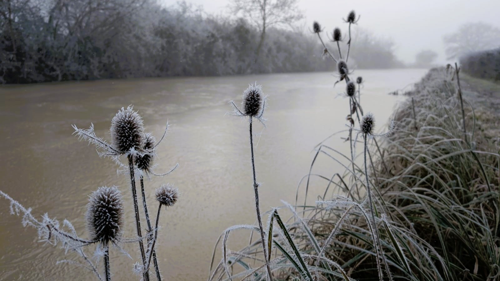 A Frozen Winter Canal