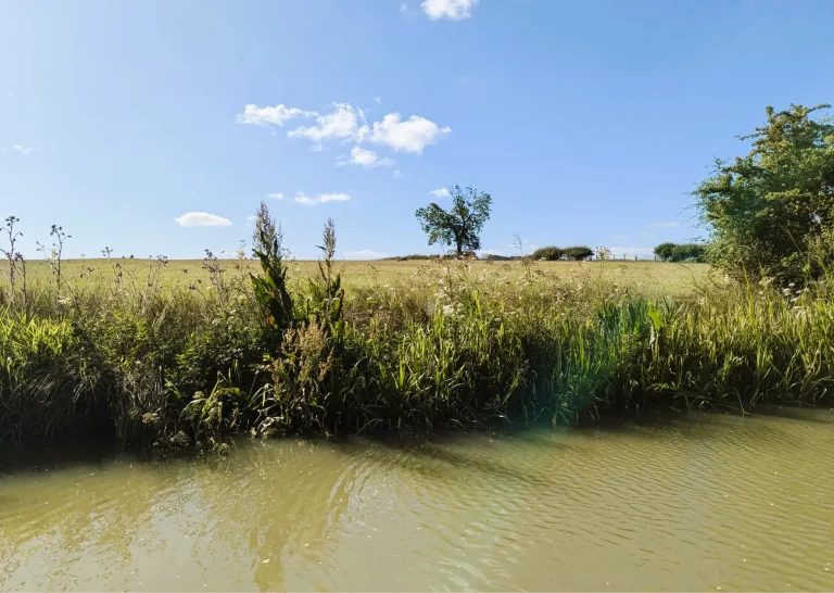 A photo of the Oxford Canal