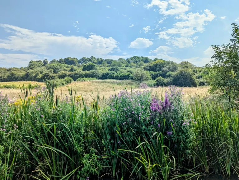 A photo of Dudley No.2 Canal
