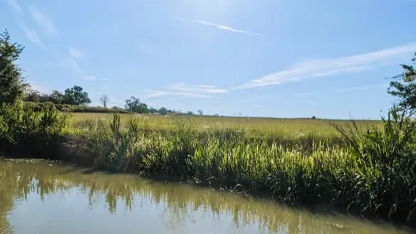 Mooring in Priors Hardwick