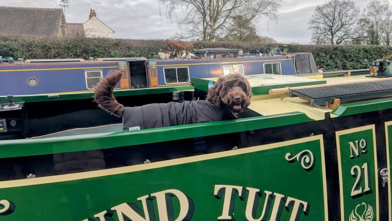 A photo of a dog on a narrowboat