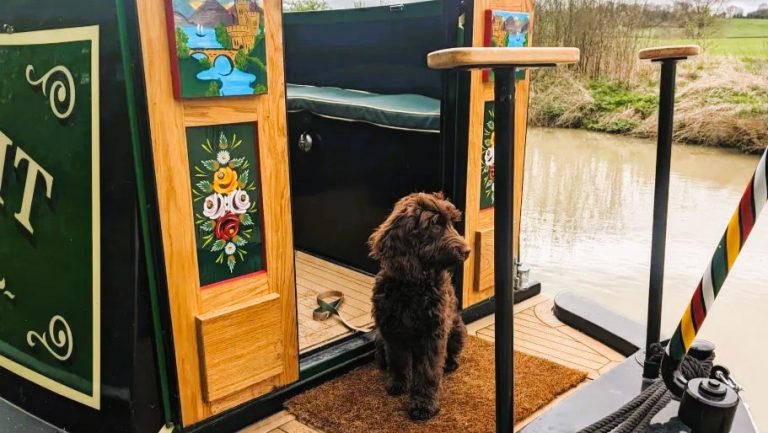 Narrowboat Stern and Our Boat Dog