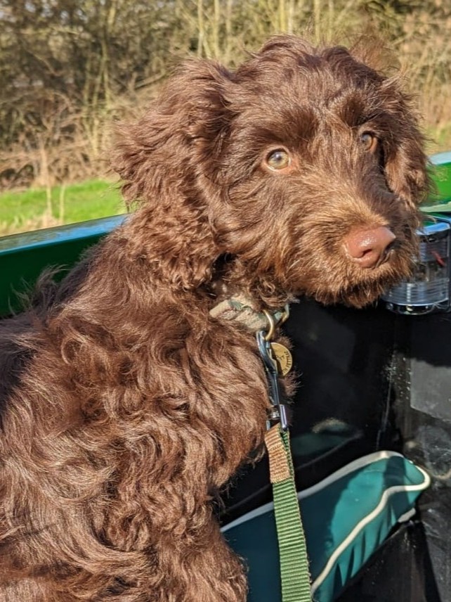 Profile Picture_Boasley