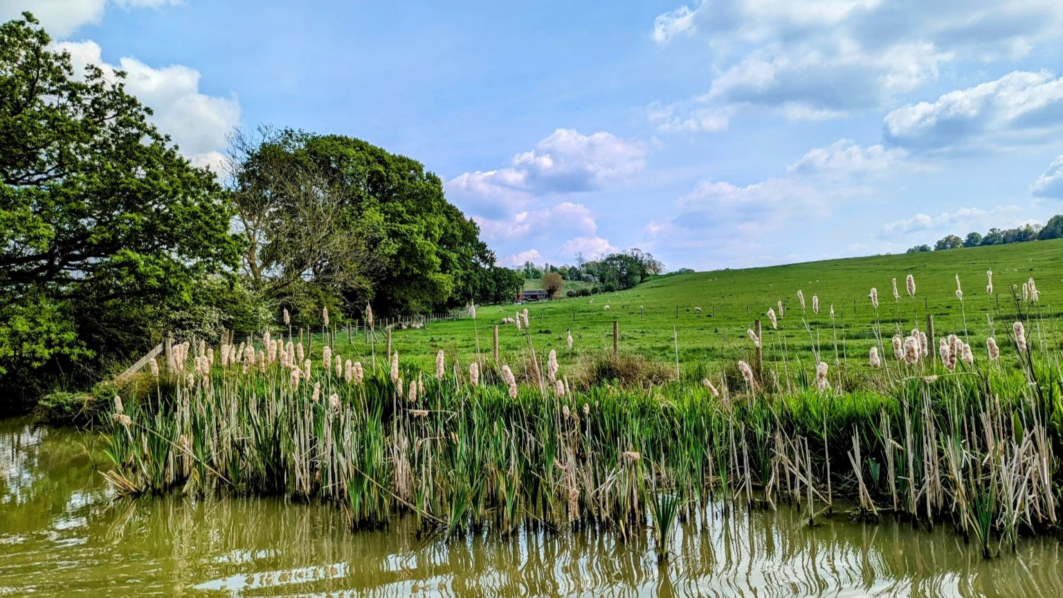 Rolling Green Hills by the Canal